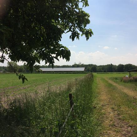 Bouwgrond Te koop Vosselaar