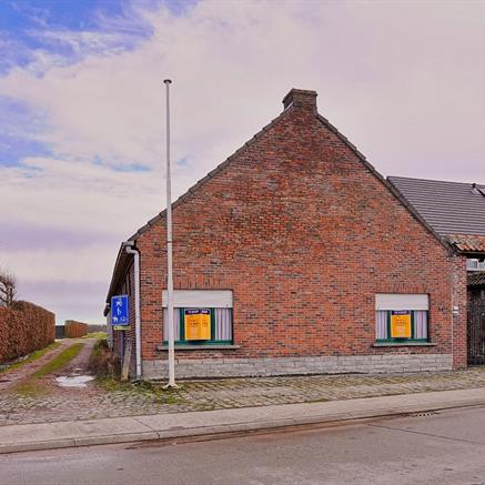 Woning Te koop Buggenhout