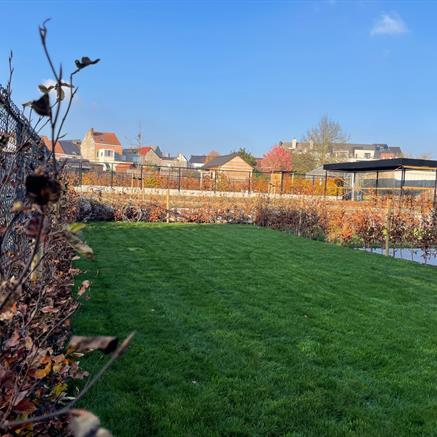 Appartement Te koop Bornem