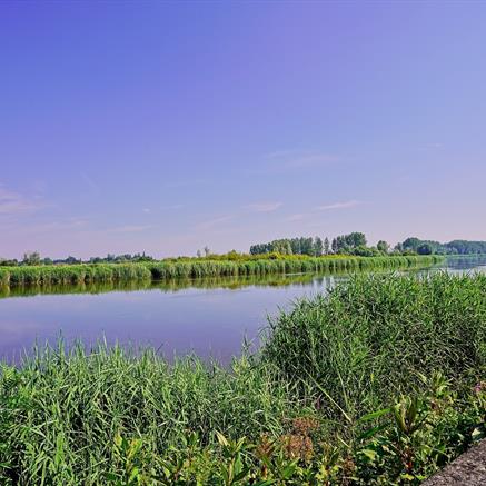 Appartement Te koop Schoonaarde