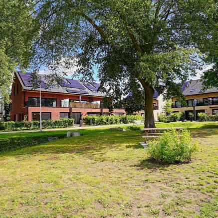 Appartement Te huur Lokeren